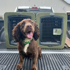 Dakota 283 G3 Medium Framed Kennel