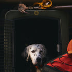 Dakota 283 G3 Large Framed Kennel