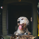 Dakota 283 G3 Large Framed Kennel