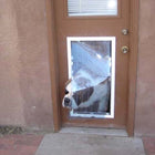 Security Boss MaxSeal Door Mount Pet Door and a dog