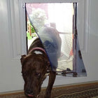 Security Boss MaxSeal Door Mount Pet Door and a dog