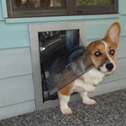 Security Boss MaxSeal Wall Mount Pet Door and a dog
