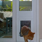 Security Boss SB Standard Lockable Patio Pet Door Insert and a cat