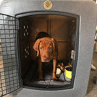 Dakota 283 G3 Large Framed Kennel