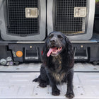 Dakota 283 G3 Large Framed Kennel