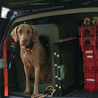 Dakota 283 G3 X-Large Framed Kennel