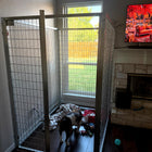 TK Products crate with a dog inside the crate, inside kennel-Dens & Kennels