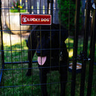 LUCKY DOG® STAY SERIES™ 4'L X 4'W X 4'4''H STUDIO JR. KENNEL