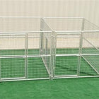 Rhino 2-Run Dog Kennel with Fight Guard Divider 6'x8'