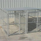 Rhino 2-Run Dog Kennel with Roof Shelters & Fight Guard Divider 5'x10'