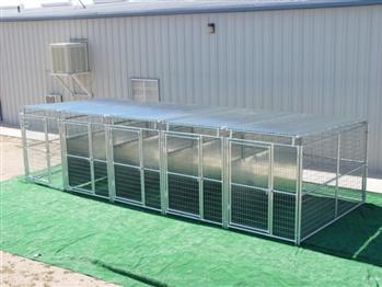 Rhino 5-Run Dog Kennel with Roof Shelters & Fight Guard Divider 5'x10'